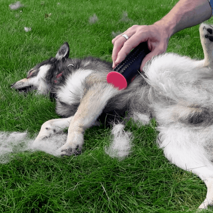 FurMaster™ - 3-in-1 Haarverwijdering- en vachtborstel