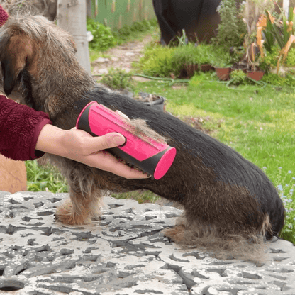 FurMaster™ - 3-in-1 Haarverwijdering- en vachtborstel