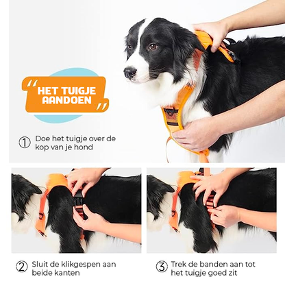 EasyWalk™ - All-in-one Honden tuigje en riem