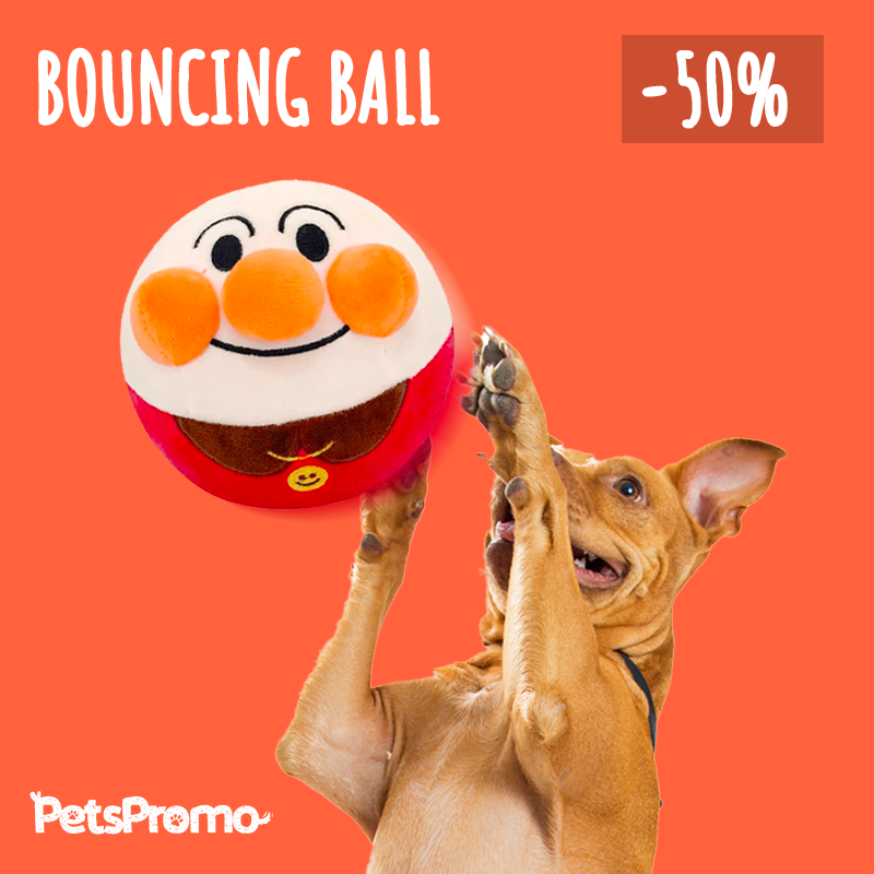 BouncingBall - het interactieve hondenspeeltje