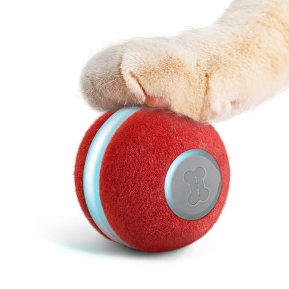 Purr Ball – automatischer Anti-Stress-Ball