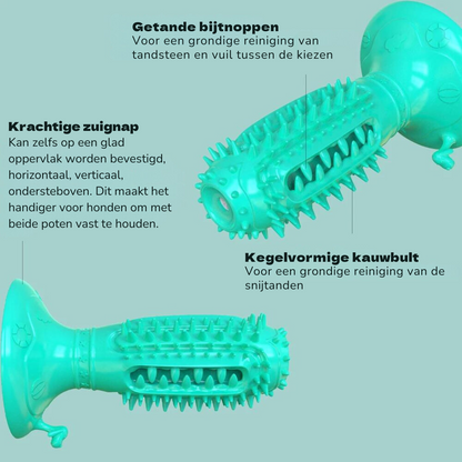 PawChew | Natuurlijk en veilig een stralend gebit