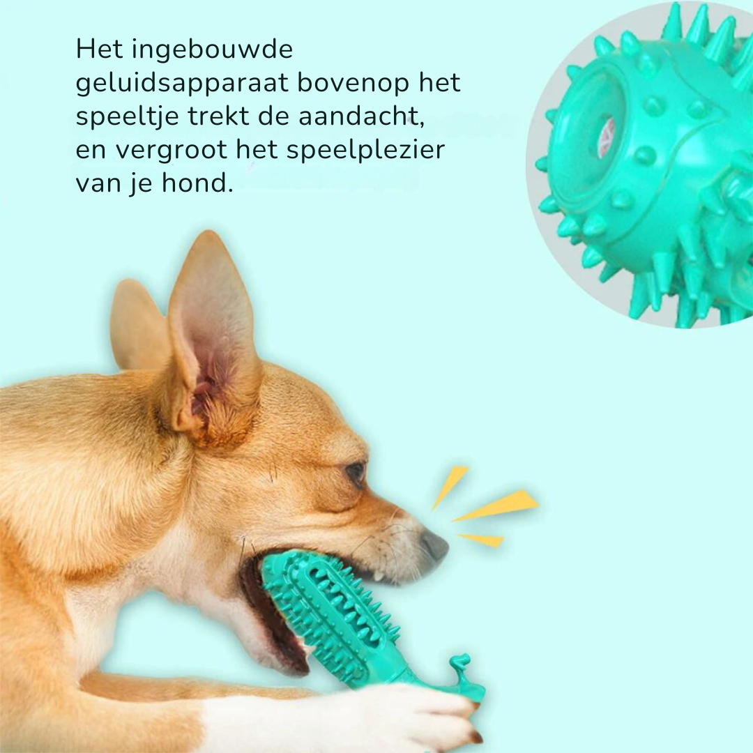 PawChew | Natuurlijk en veilig een stralend gebit