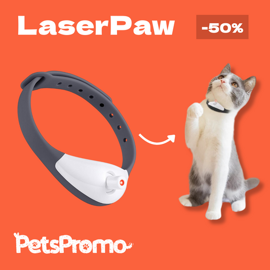 LaserPaw - het interactieve kattenspeeltje