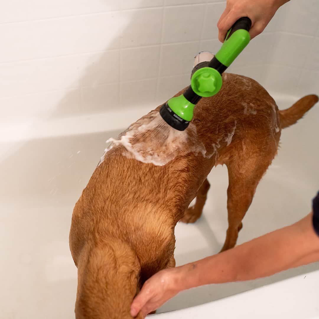 PupJet™ | Bespaar Tijd, Moeite & Shampoo