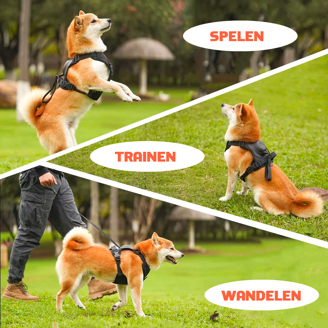 EasyWalk™ - All-in-one Honden tuigje en riem