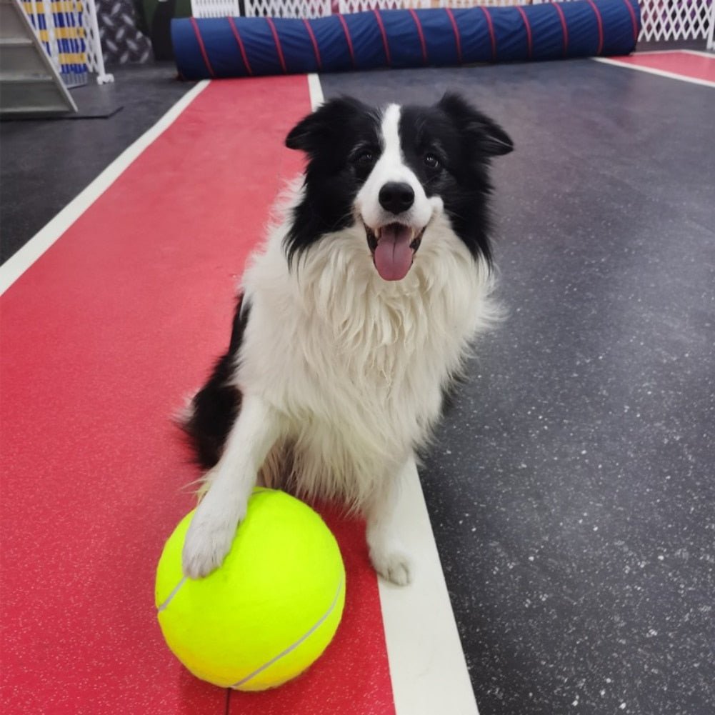 GigaBall - De reuze bal voor honden