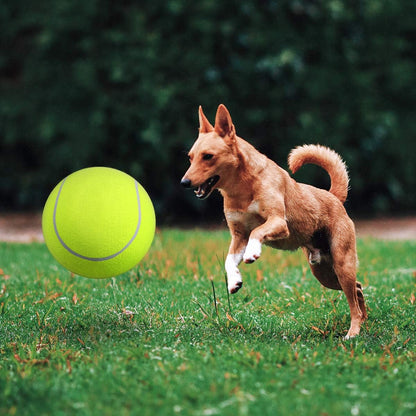 GigaBall - De reuze bal voor honden