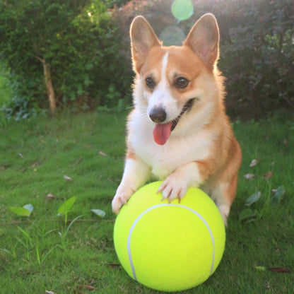 GigaBall - De reuze bal voor honden