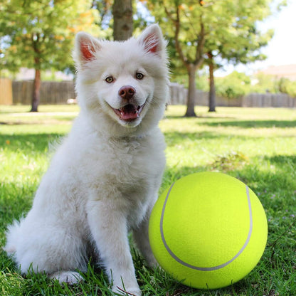 GigaBall - De reuze bal voor honden